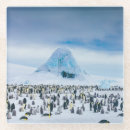 Suche nach kaiser pinguin untersetzer Vogel