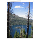 Suche nach flusssteine postkarten Bäume