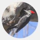 Suche nach flecken aufkleber Natur