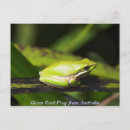 Suche nach green frog postkarten Frosch
