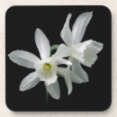 Suche nach narzisse untersetzer Mit blumen