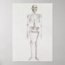 Suche nach entwicklung poster Primitiv