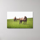 Suche nach tierfamilie leinwandbilder Natur