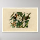 Suche nach blaue vögel poster Viktorianisch