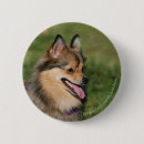 Suche nach pam buttons Spitz