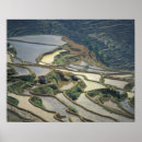 Suche nach reisterrasse poster Landwirtschaft