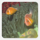 Suche nach seeanemone aufkleber Tier