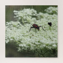 Suche nach insekten puzzle Jede person