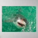 Suche nach brüche poster Bruch