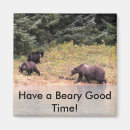 Suche nach grizzly magnete Alaska