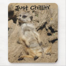 Suche nach meerkats elektronik zubehör Fotografie