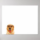 Suche nach lustige golden retriever poster Für alle