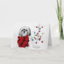 Suche nach shih tzu hunde postkarten Farbbild