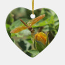 Suche nach rosenknospe ornamente Natur