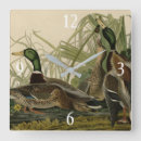 Suche nach duck wanduhren Anas platyrhynchos