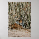 Suche nach wilder tiger poster Landschaft