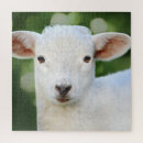 Suche nach sheep puzzle Bauernhof