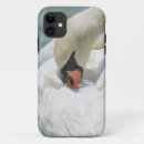 Suche nach schwan iphone hüllen Wasservögel