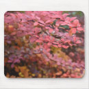 Suche nach rote orange mousepads Natur