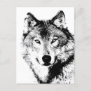 Suche nach amerikanischer ureinwohner postkarten Für ihn