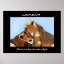 Suche nach mitleid poster Inspirierend
