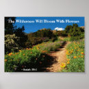 Suche nach wildnis poster Schrift