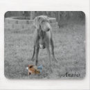 Suche nach weimaraner mousepads Welpe