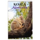 Suche nach koala kalender Jede person