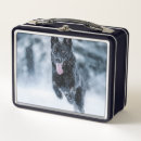Suche nach schnee brotdosen Wolf