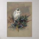 Suche nach vintage wildlife poster Animal