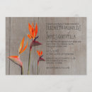 Suche nach hochzeitsvögel einladungen Paradiesvogel