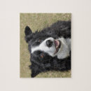 Suche nach border collie puzzle Haustier