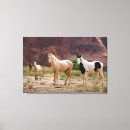 Suche nach fohlen leinwandbilder Ranch