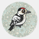 Suche nach woodpecker aufkleber Niedlich