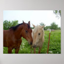 Suche nach freundin poster Freunde