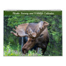 Suche nach naturkalender Landschaftskalender