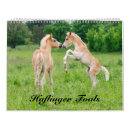 Suche nach colt kalender Pony