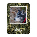 Suche nach mein eigenes foto magnete Niedlich