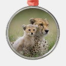 Suche nach panther ornamente Leopard