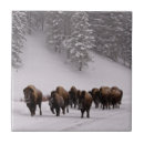 Suche nach bewegung fliesen Usa