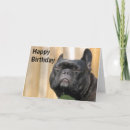 Suche nach paris geburtstag karten Bulldogge