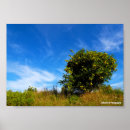 Suche nach einsamer baum poster Bäume