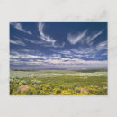 Suche nach oregon postkarten Gebirge