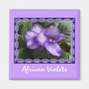 Suche nach african magnete Afrikanische veilchen