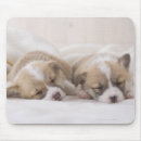 Suche nach stifte mousepads Tier