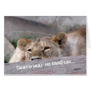 Suche nach löwin postkarten Safari