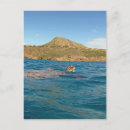 Suche nach hawaii schildkröten postkarten Oahu