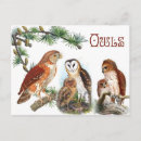 Suche nach owls postkarten Illustration