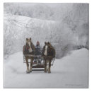 Suche nach quebec fliesen Natur