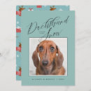 Suche nach dachshund postkarten Pet